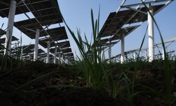 4.5 MW Agrivoltaic project at Sagar, Madhya Pradesh Jakson Solar